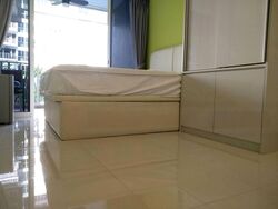 Forestville (D25), Condominium #492515231